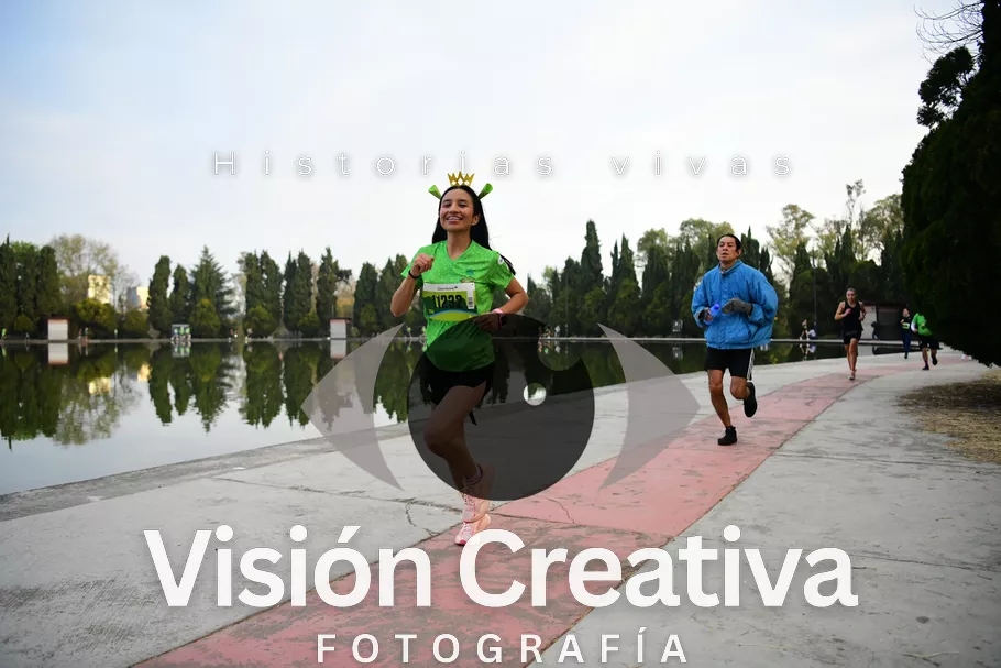 Foto del evento Shrek - CDMX 2026