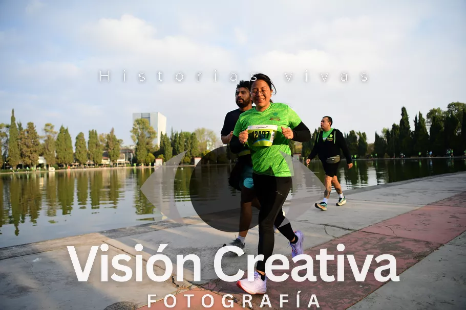 Foto del evento Shrek - CDMX 2026