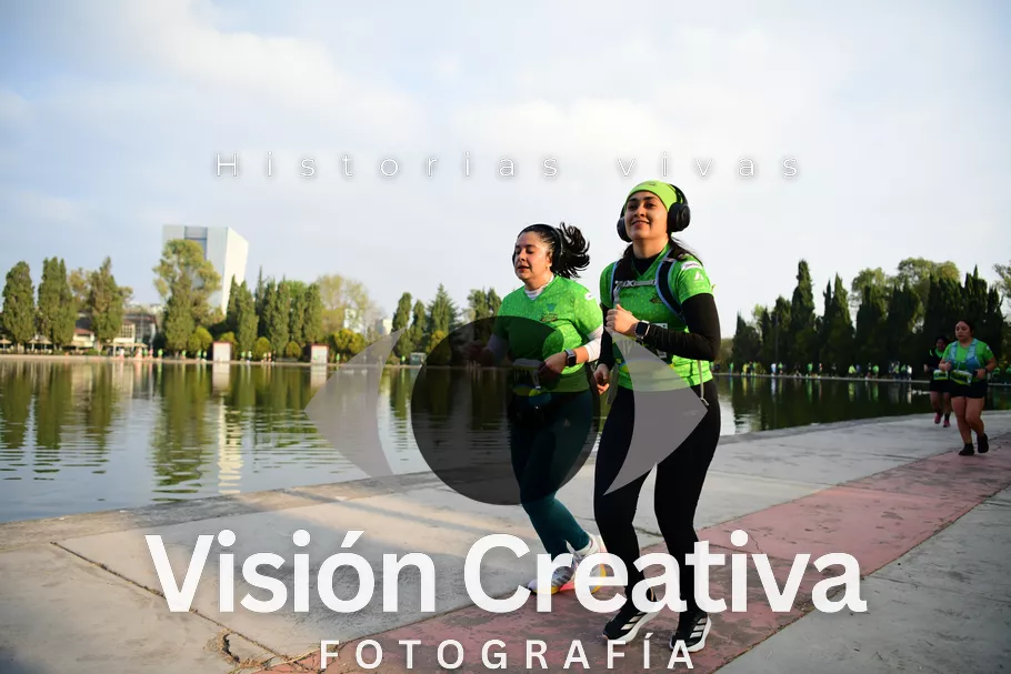 Foto del evento Shrek - CDMX 2026