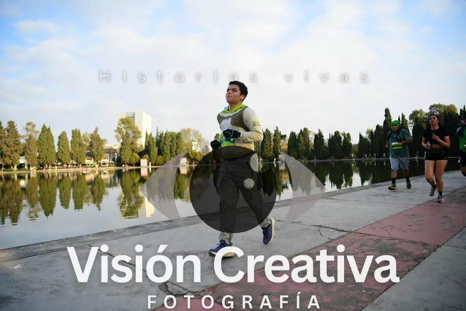 Foto del evento Shrek - CDMX 2026