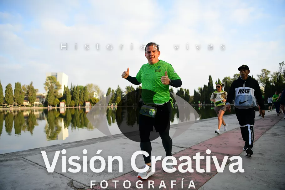 Foto del evento Shrek - CDMX 2026