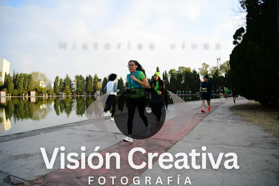 Foto del evento Shrek - CDMX 2026