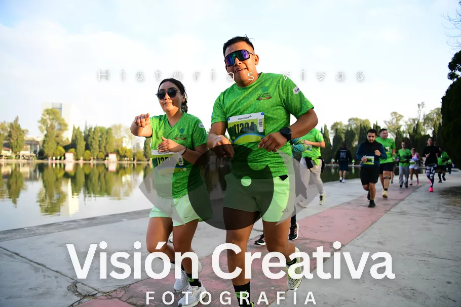 Foto del evento Shrek - CDMX 2026