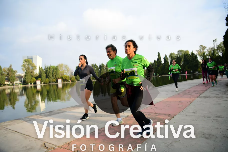 Foto del evento Shrek - CDMX 2026