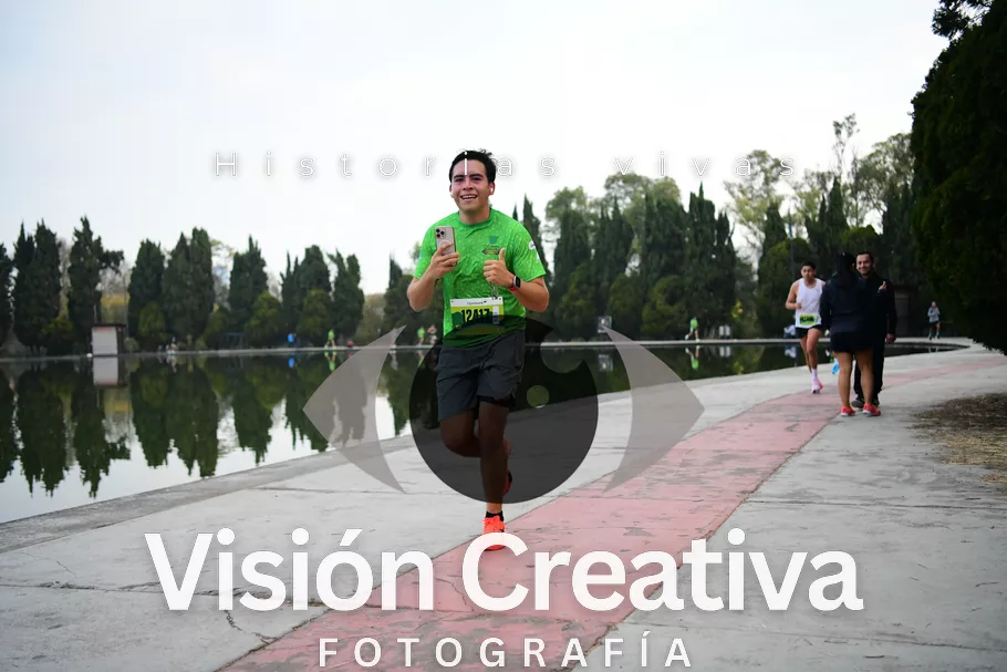 Foto del evento Shrek - CDMX 2026