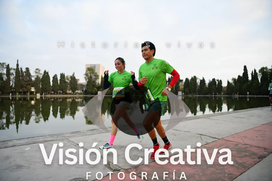Foto del evento Shrek - CDMX 2026