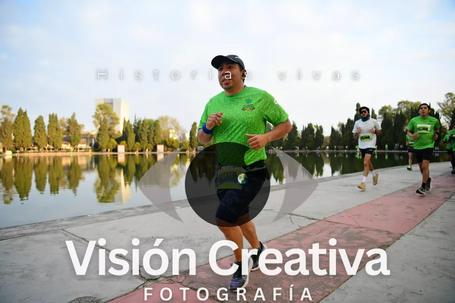 Foto del evento Shrek - CDMX 2026