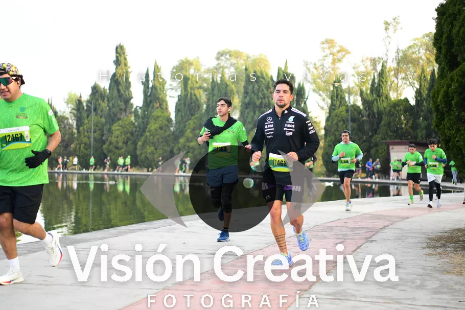 Foto del evento Shrek - CDMX 2026