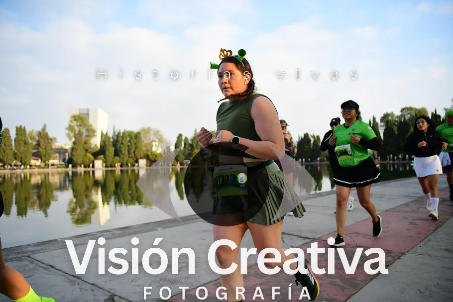 Foto del evento Shrek - CDMX 2026
