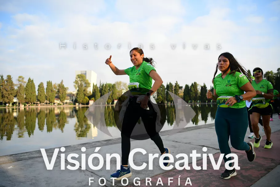 Foto del evento Shrek - CDMX 2026
