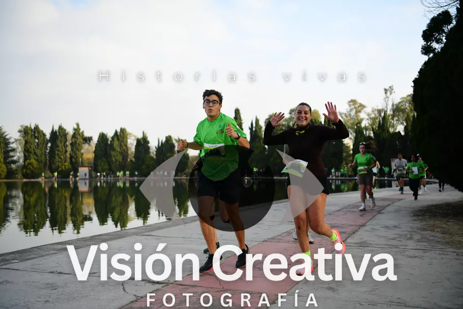 Foto del evento Shrek - CDMX 2026