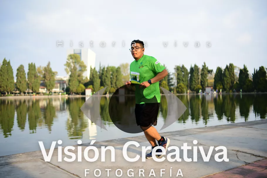 Foto del evento Shrek - CDMX 2026