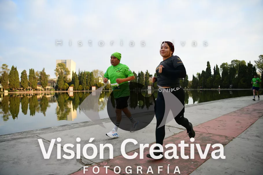 Foto del evento Shrek - CDMX 2026