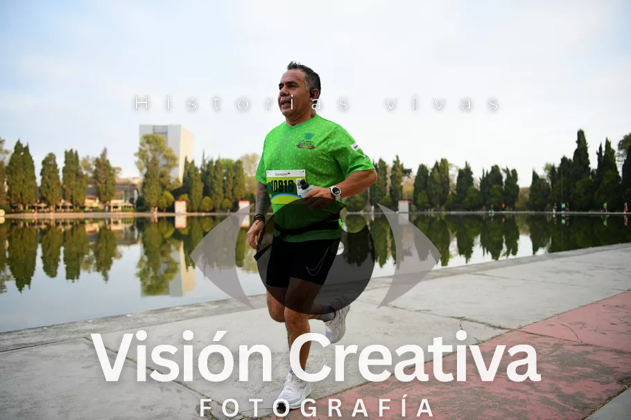 Foto del evento Shrek - CDMX 2026