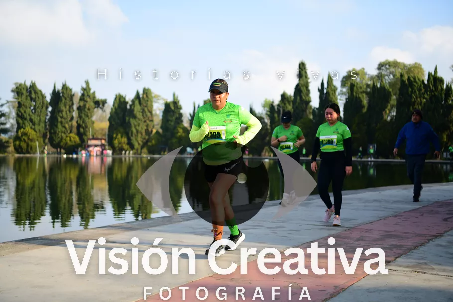 Foto del evento Shrek - CDMX 2026
