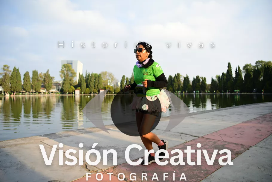 Foto del evento Shrek - CDMX 2026