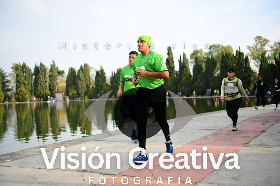 Foto del evento Shrek - CDMX 2026