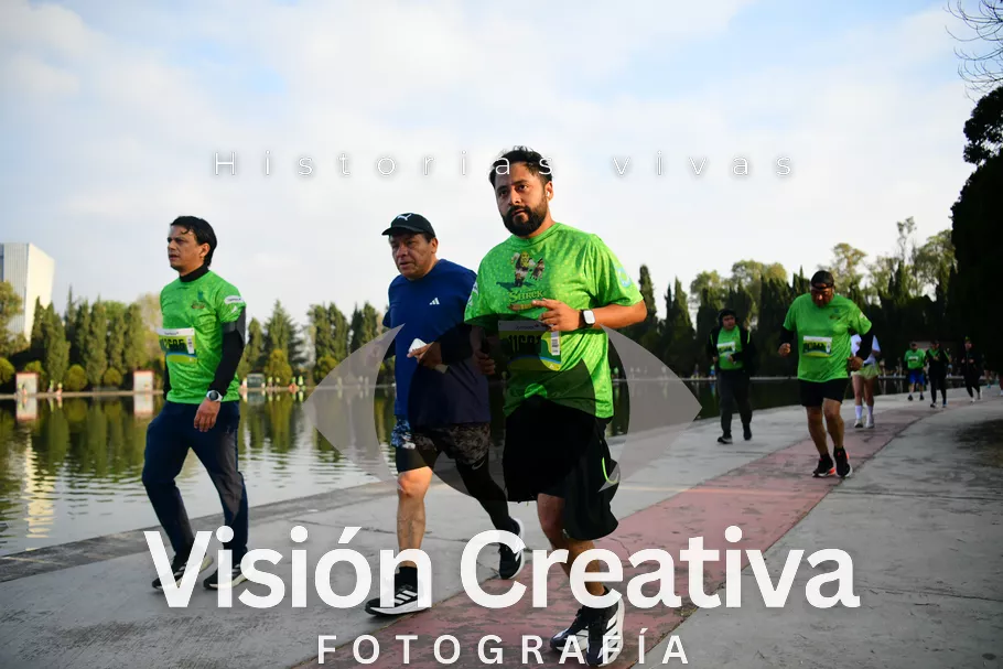 Foto del evento Shrek - CDMX 2026