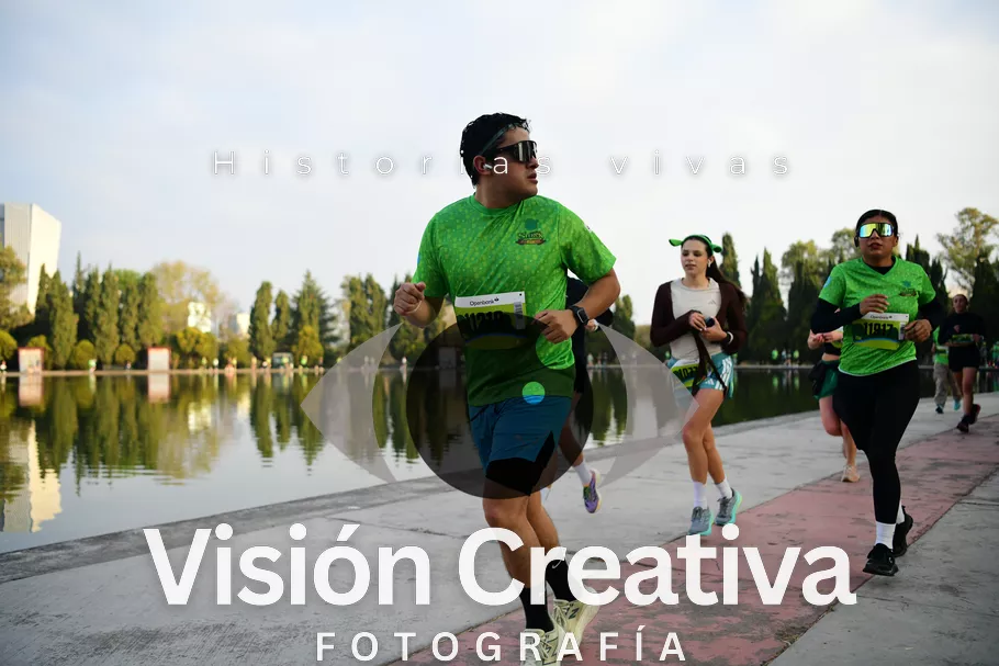 Foto del evento Shrek - CDMX 2026
