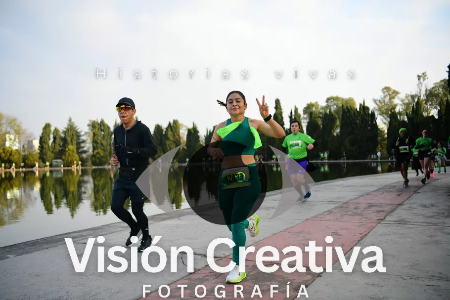 Foto del evento Shrek - CDMX 2026
