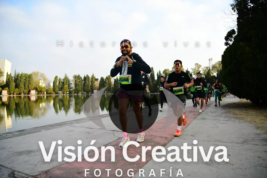 Foto del evento Shrek - CDMX 2026