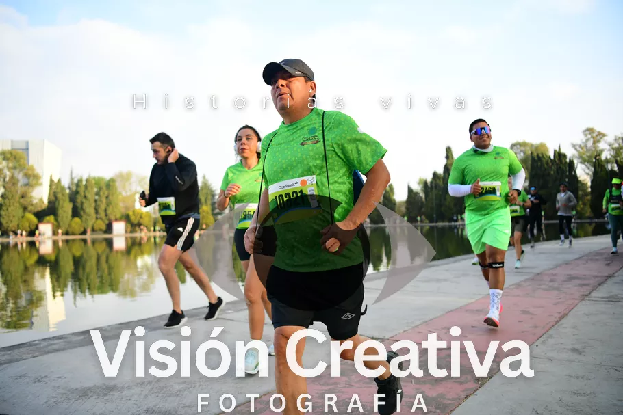 Foto del evento Shrek - CDMX 2026