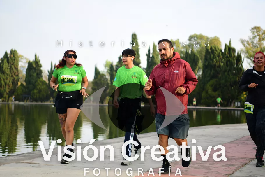 Foto del evento Shrek - CDMX 2026