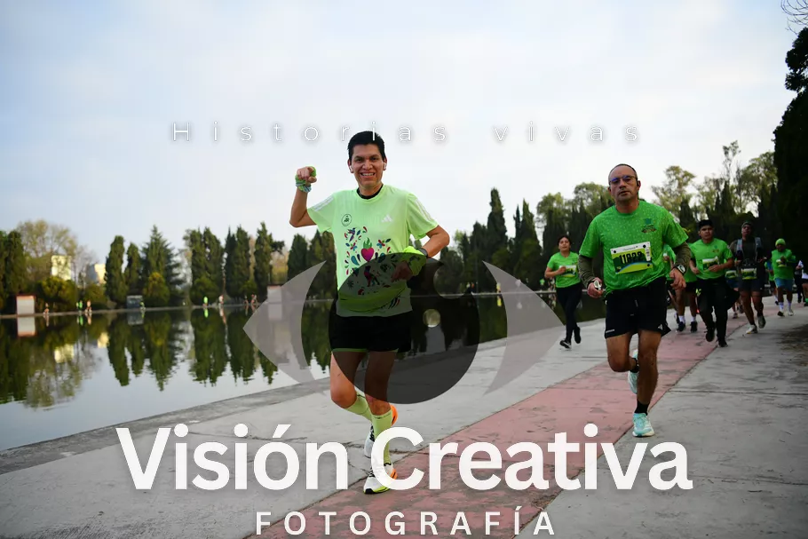 Foto del evento Shrek - CDMX 2026