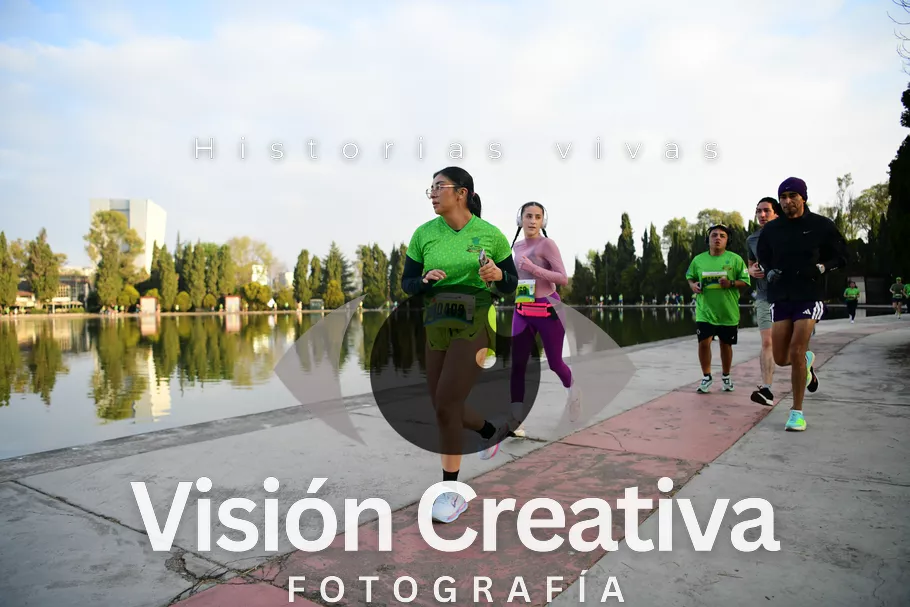 Foto del evento Shrek - CDMX 2026