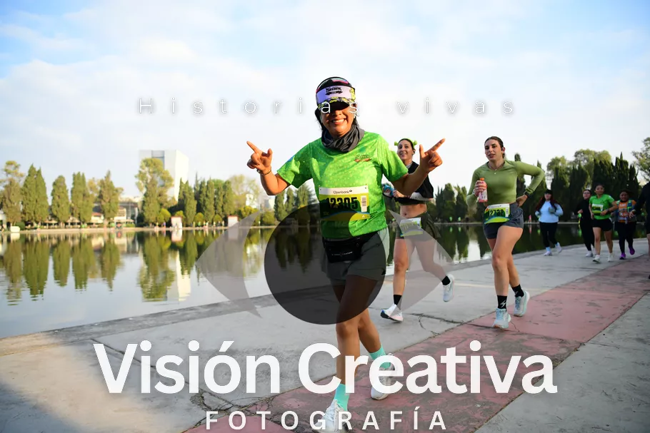 Foto del evento Shrek - CDMX 2026
