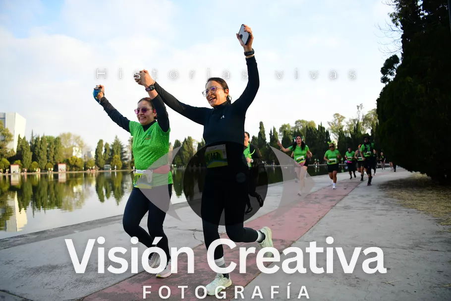 Foto del evento Shrek - CDMX 2026
