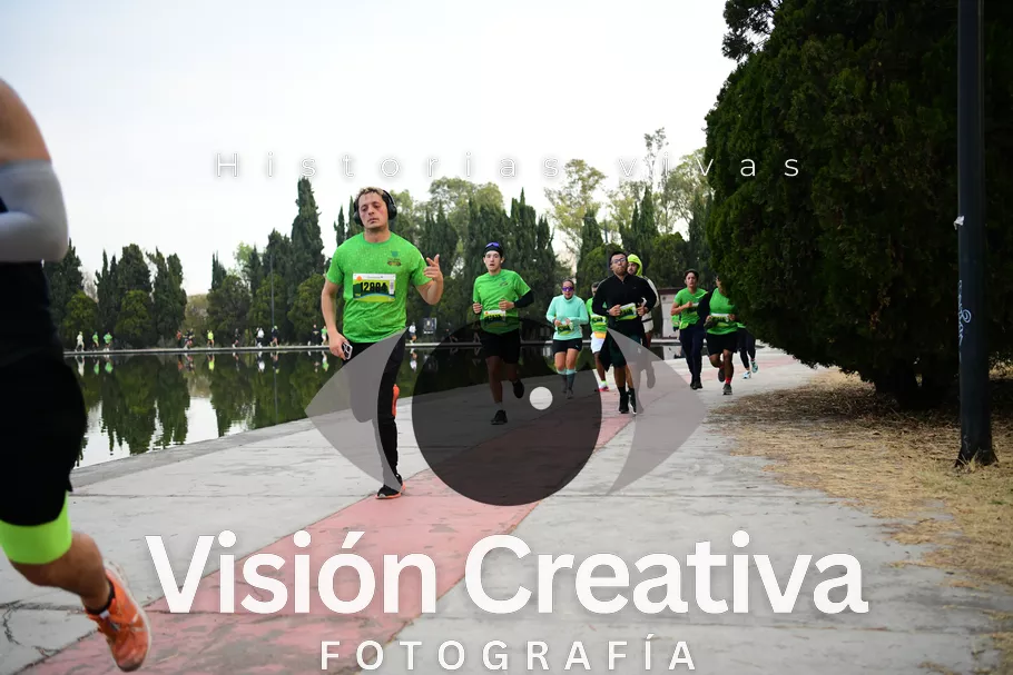 Foto del evento Shrek - CDMX 2026