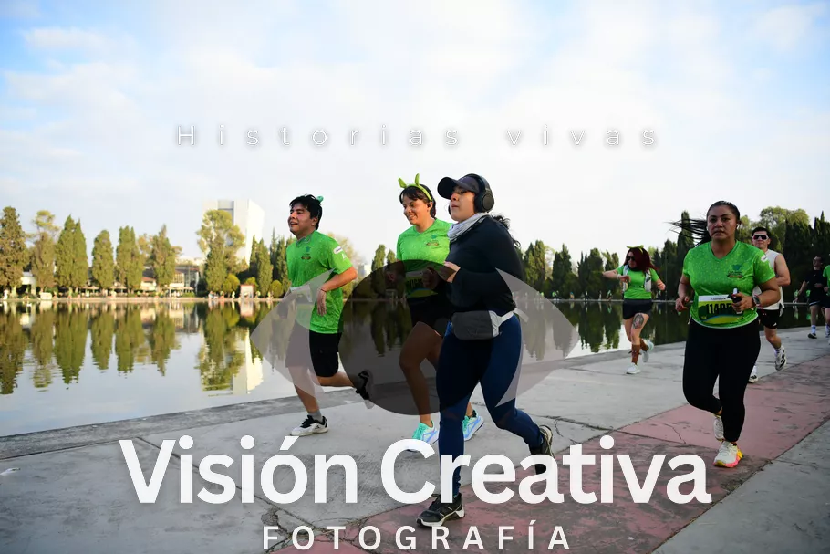 Foto del evento Shrek - CDMX 2026