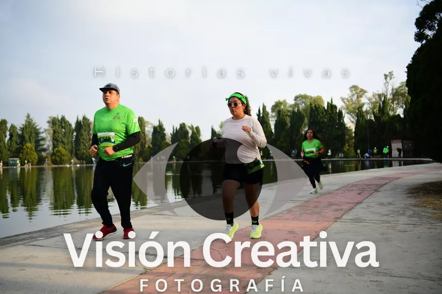 Foto del evento Shrek - CDMX 2026