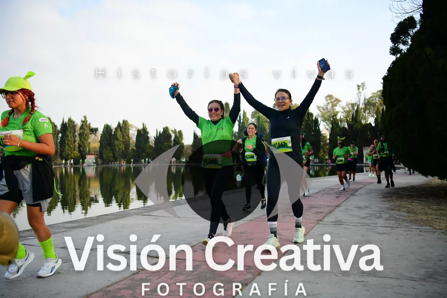 Foto del evento Shrek - CDMX 2026