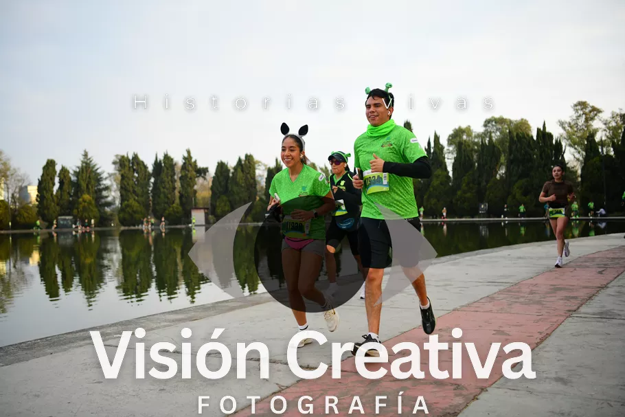 Foto del evento Shrek - CDMX 2026