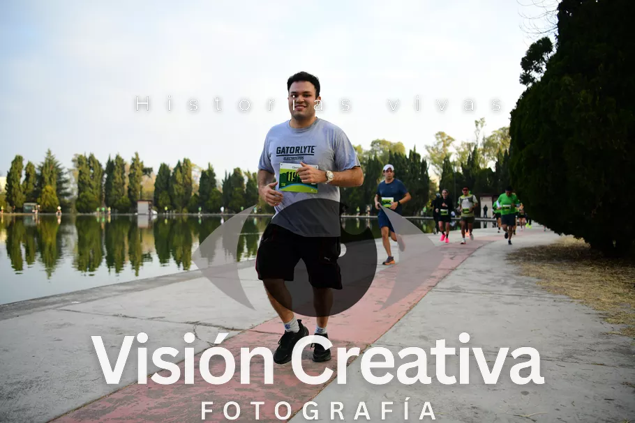 Foto del evento Shrek - CDMX 2026