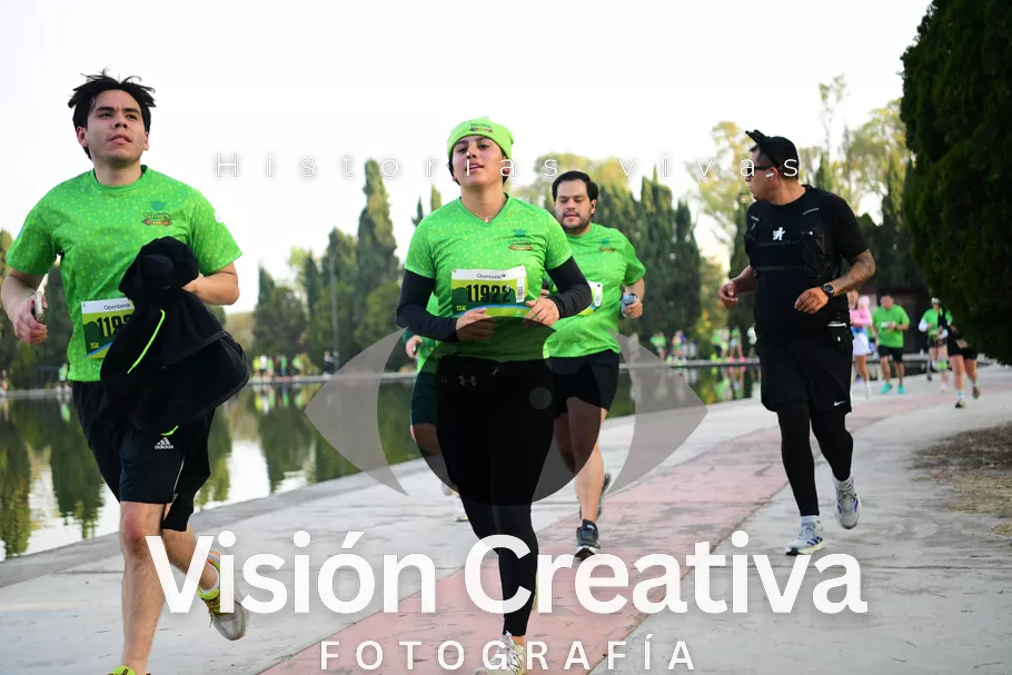 Foto del evento Shrek - CDMX 2026