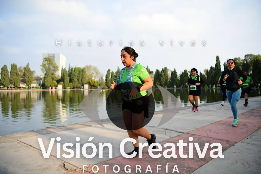 Foto del evento Shrek - CDMX 2026