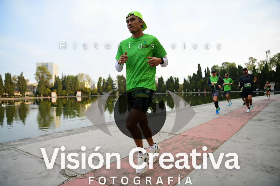 Foto del evento Shrek - CDMX 2026