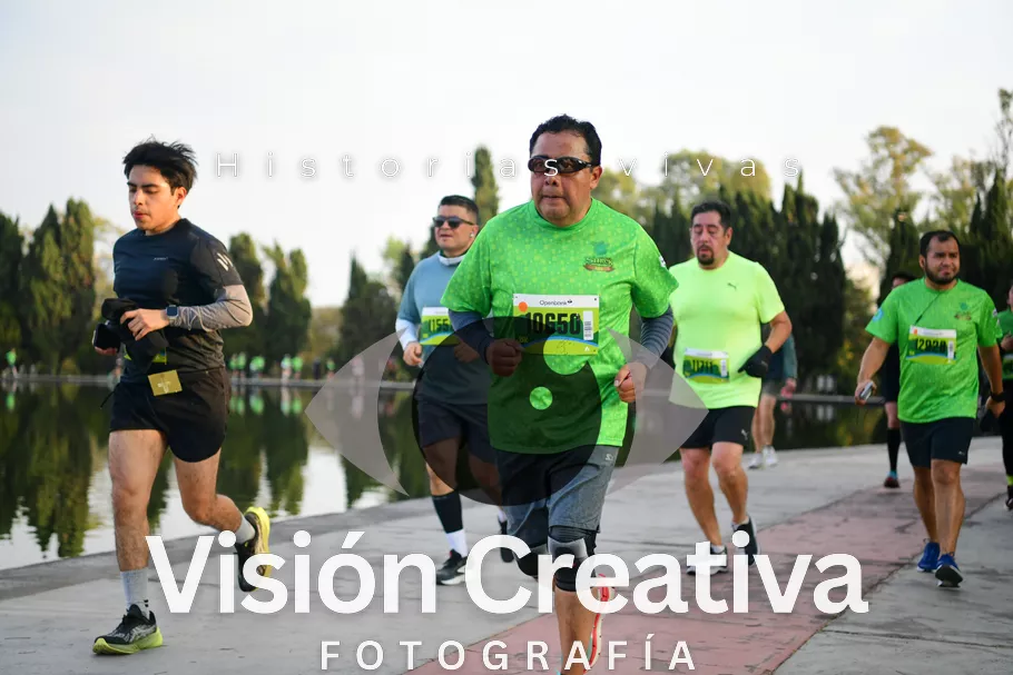Foto del evento Shrek - CDMX 2026