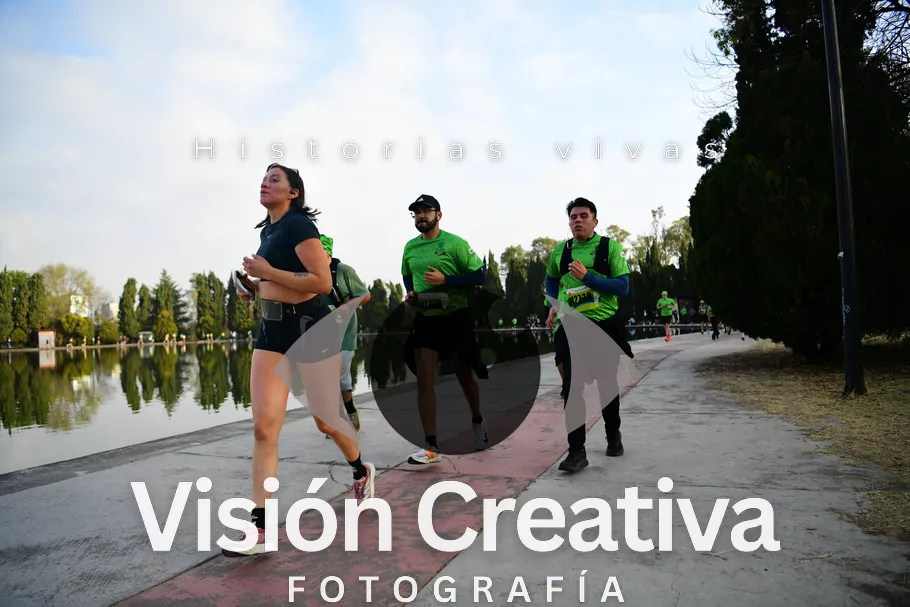 Foto del evento Shrek - CDMX 2026