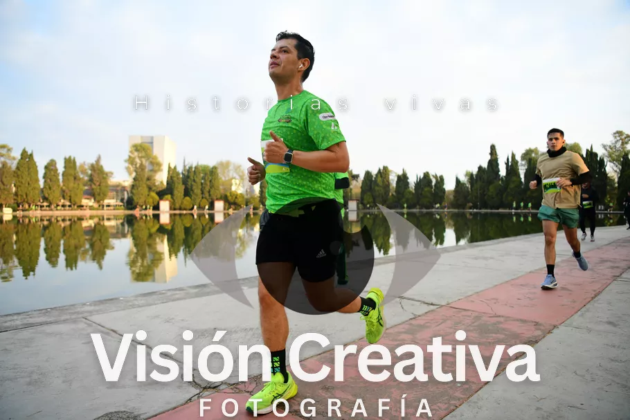 Foto del evento Shrek - CDMX 2026