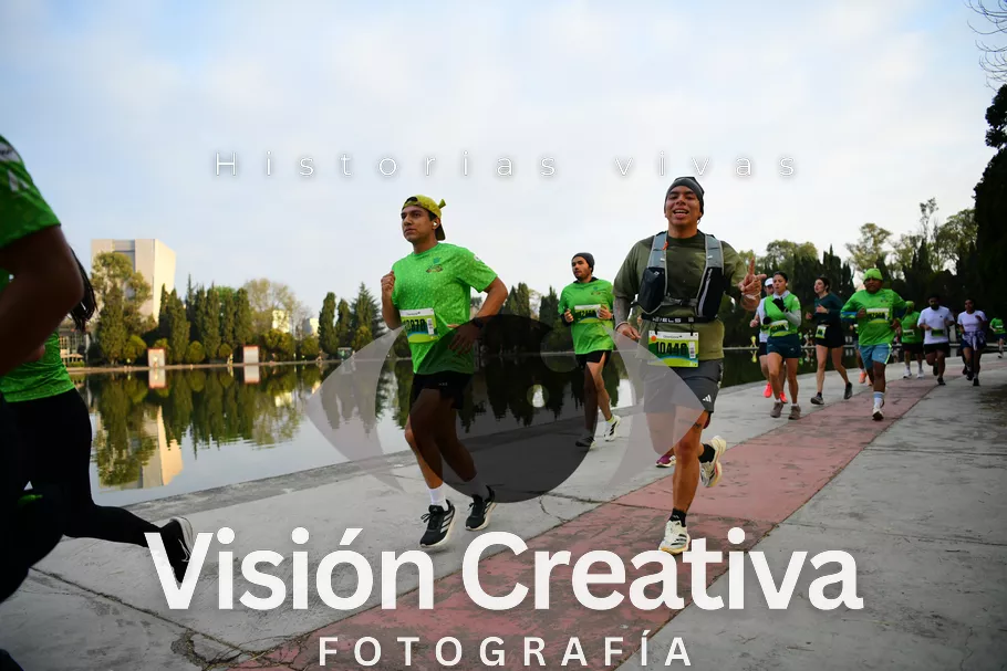 Foto del evento Shrek - CDMX 2026