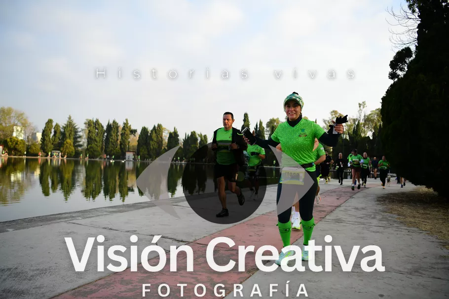 Foto del evento Shrek - CDMX 2026