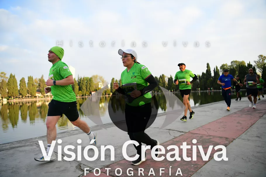 Foto del evento Shrek - CDMX 2026