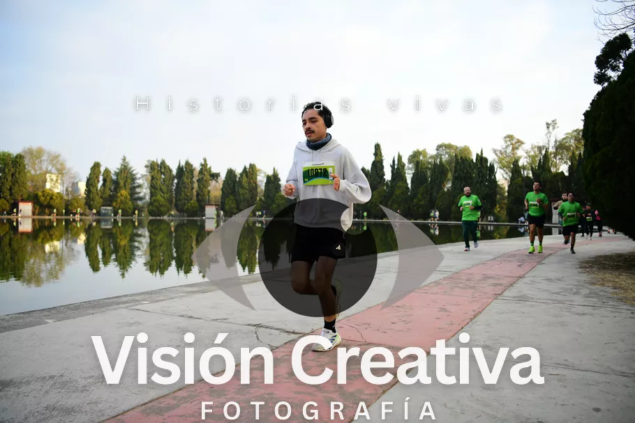 Foto del evento Shrek - CDMX 2026
