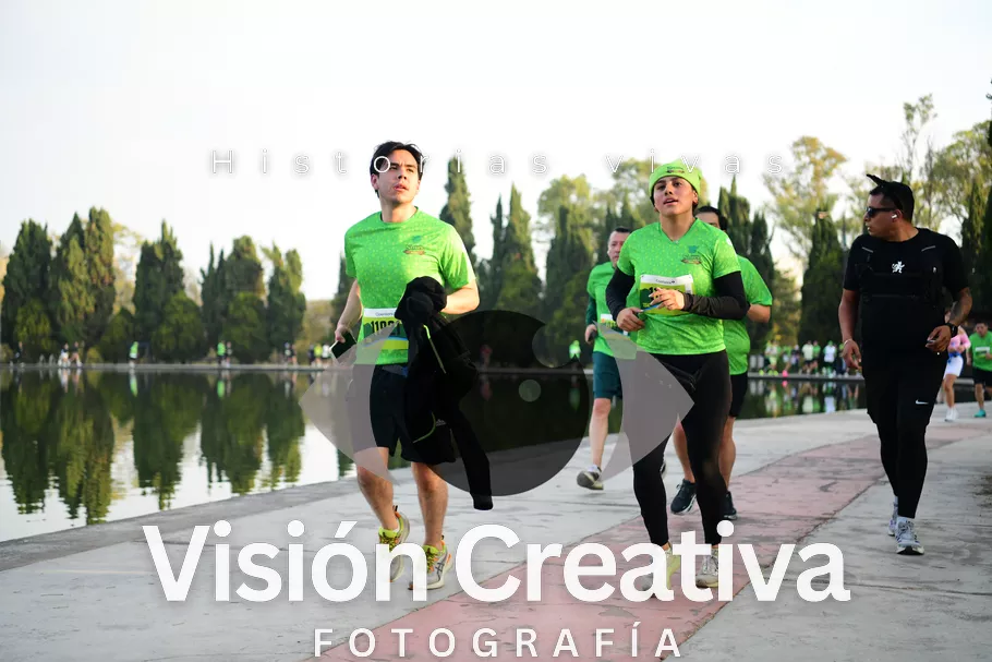 Foto del evento Shrek - CDMX 2026