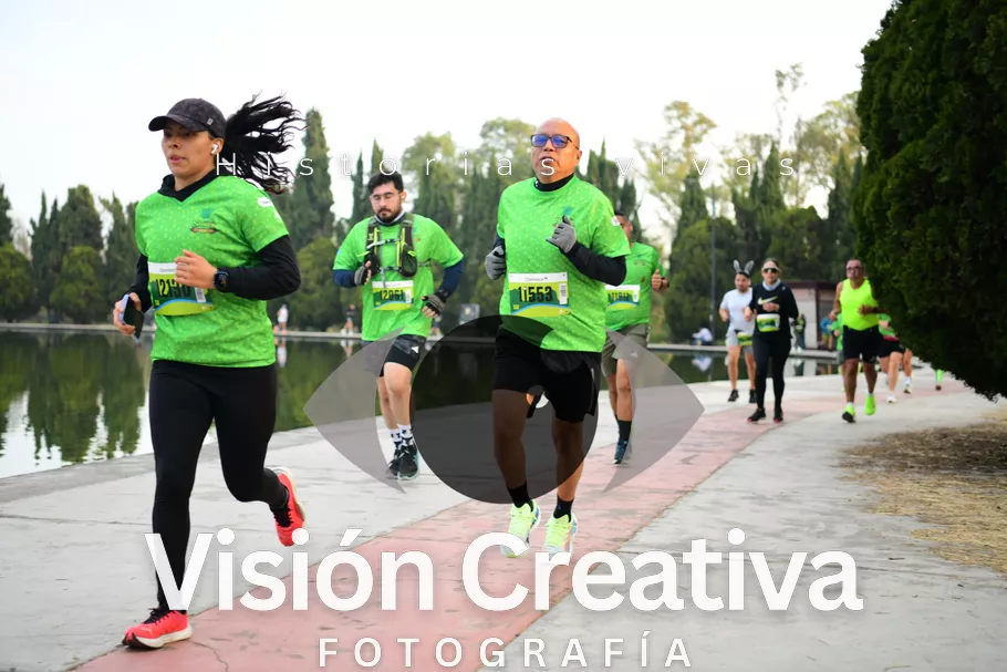Foto del evento Shrek - CDMX 2026
