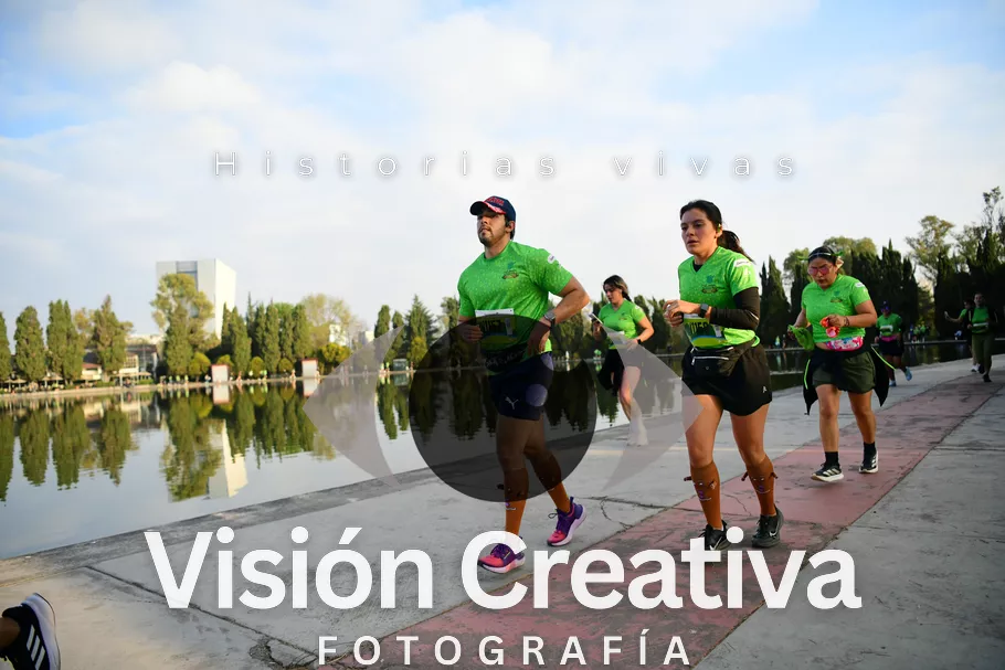 Foto del evento Shrek - CDMX 2026